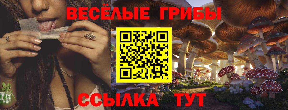Псилоцибиновые грибы мицелий  Вход с VPN  хочу наркоту  Энгельс 
