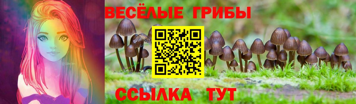 Галлюциногенные грибы Cubensis Энгельс